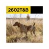 Výcvikový obojek Dogtra 2602 T&B pro 2 psy - Image 2