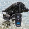 Dogtra 640C elektronický výcvikový obojek - Image 3