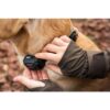 Dogtra YS VIBE - Image 2