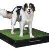 Mobilní toaleta pro psy Pet Loo - Image 3