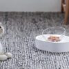 Petkit Fresh Nano miska s nastavitelným úhlem - Image 2