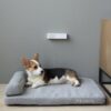 Petkit Pura Air chytrý odstraňovač pachu a bakterií - Image 2