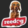 Reedog Air Fresh Vůně do auta Meloun - Image 2
