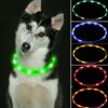 Reedog Easy Light USB dobíjecí svítící obojek pro psy a kočky