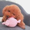 Reedog Piggy - Image 3