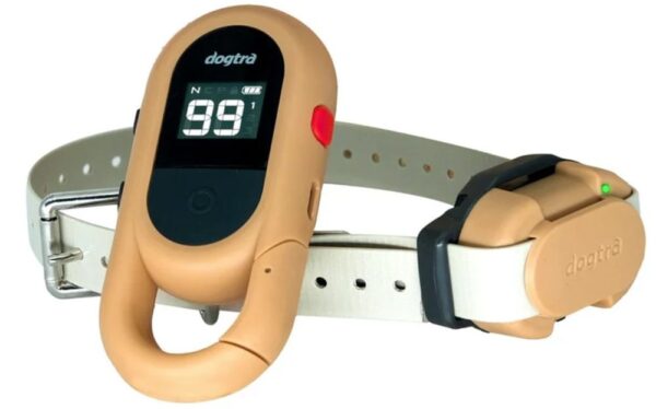 Dogtra IQ Flex | Elektronický výcvikový obojek pro psy