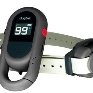 Dogtra IQ Flex elektronický výcvikový obojek pro psy - šedá