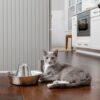 PetSafe® Seaside | Fontána pro psy a kočky - Image 2