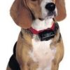 PetSafe® PBC19-10765 - obojek proti štěkání - Image 2