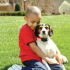 PetSafe® PBC19-10765 - obojek proti štěkání - Image 3