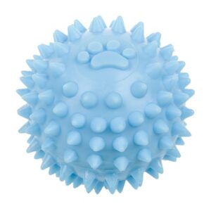 Reedog Ball Chew & Play