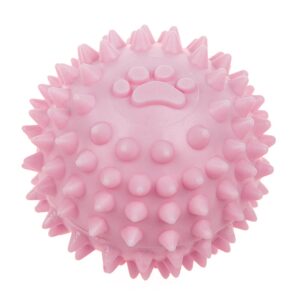Reedog Ball Chew & Play