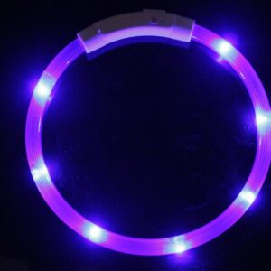 Reedog Easy Light USB dobíjecí svítící obojek pro psy a kočky - Modrá