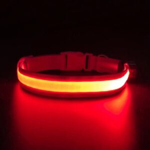 Reedog Flash USB svíticí obojek pro malé