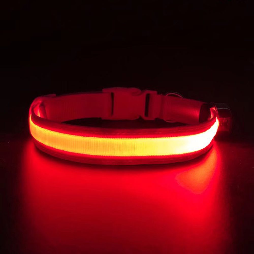 Reedog Flash USB svíticí obojek pro malé