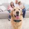 Reedog NoBark Smart Ultrasonic TC-012 | Protištěkací obojek - Image 2