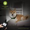 Reedog P20 | Elektronický výcvikový obojek pro psy - Image 3