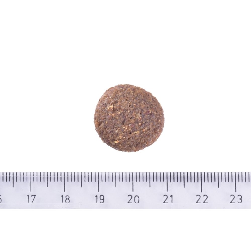 Brit Care Dog Hypoallergenic Adult Large Breed Lamb 12 kg | Granule pro psy - Image 3