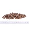 Brit Care Mini GF Sensitive Venison 2 kg | Granule pro psy - Image 2
