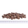 Brit Care Mini GF Yorkshire Salmon & Tuna 2 kg | Granule pro psy - Image 2