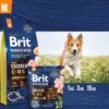 Brit Premium by Nature Junior M 1 kg | Granule pro psy - Image 2