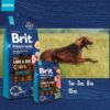 Brit Premium by Nature Sensitive Lamb 8 kg | Granule pro psy - Image 3