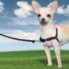 Easy Walk™ Harness | Postroj pro psa proti tahání - červená - M - Image 2