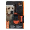 SportDog SD-875E | Elektronický výcvikový obojek - Image 2